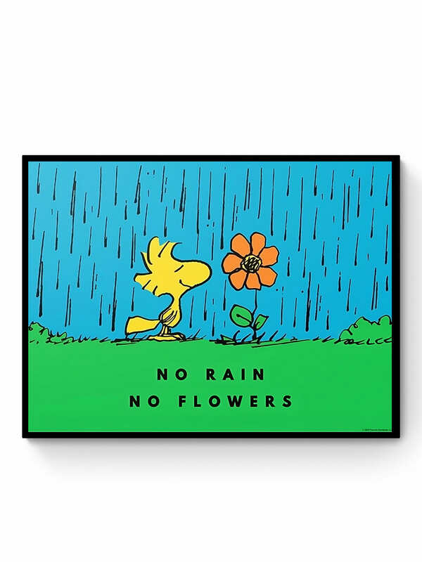 NO RAIN NO FLOWERS