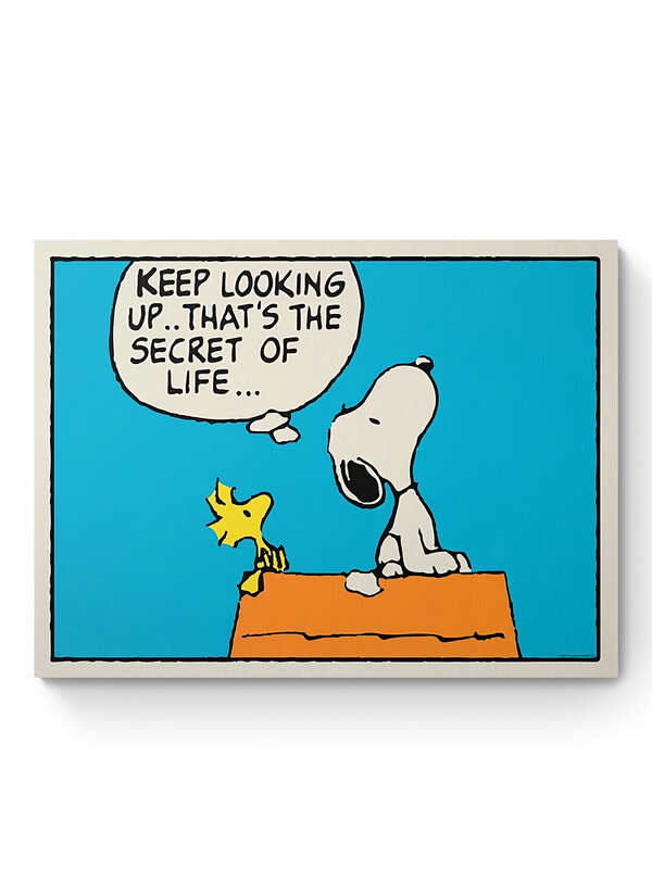 SECRET OF LIFE