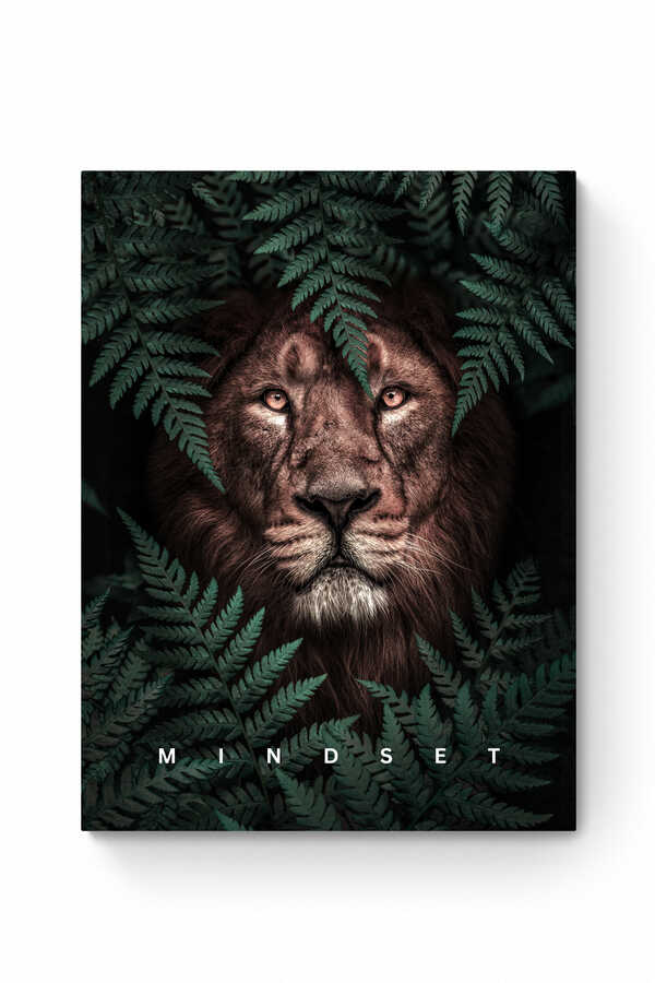 MINDSET