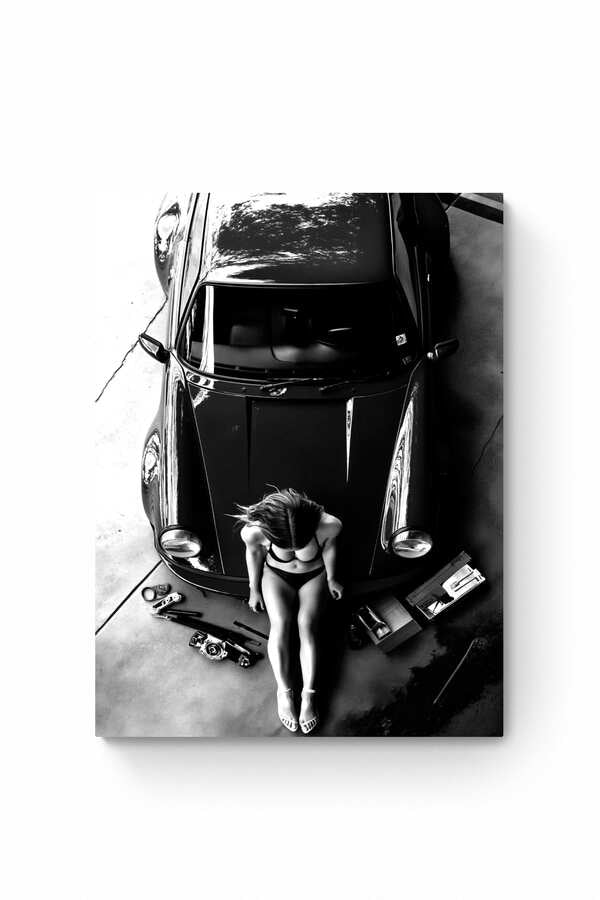 Road Dominator