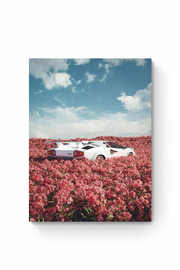 WHEEL OF FLORA