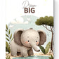 DREAM BIG