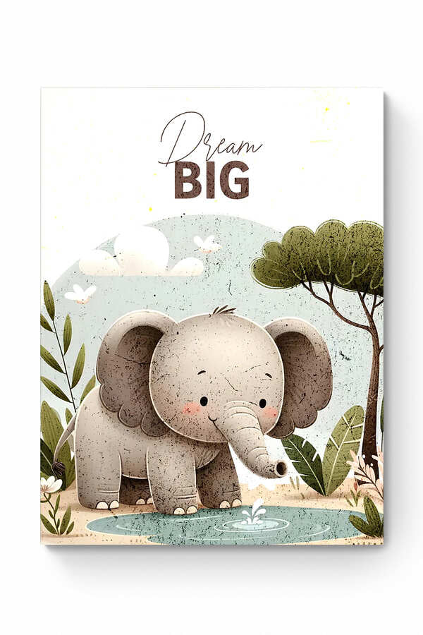 DREAM BIG