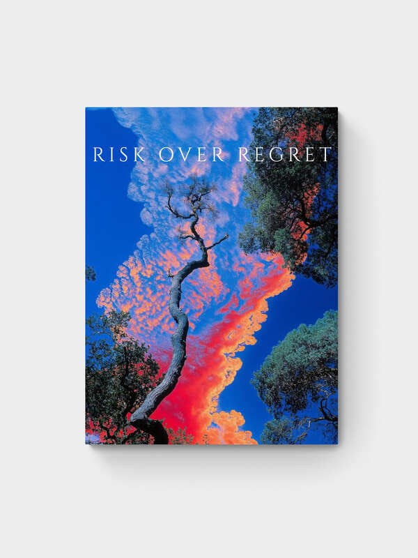 UKIYO E RISK OVER REGRET