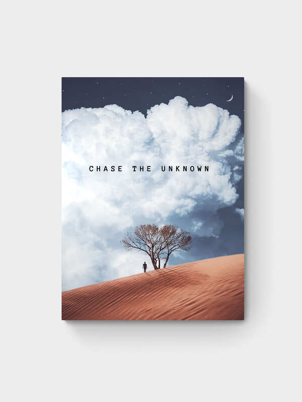 CHASE THE UNKNOWN - II