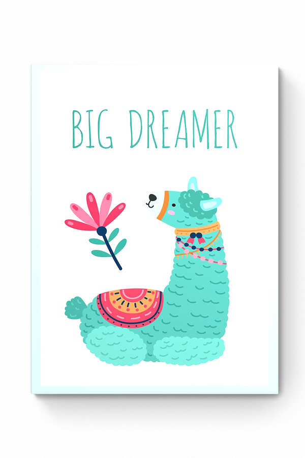BIG DREAMER