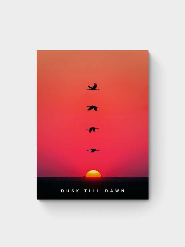 DUSK TILL DAWN