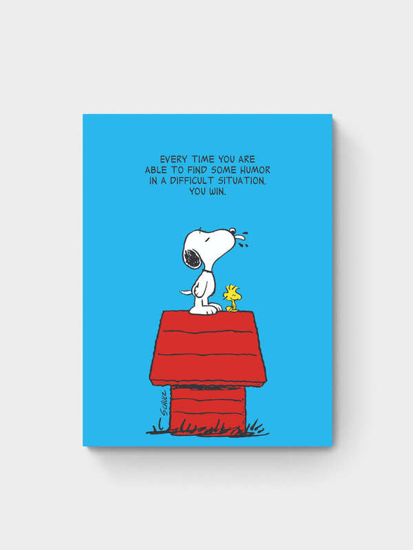 FIND HUMOUR