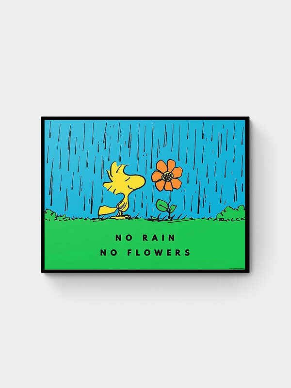 NO RAIN NO FLOWERS