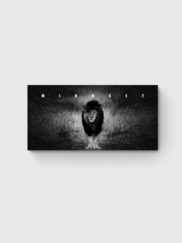 MINDSET - II