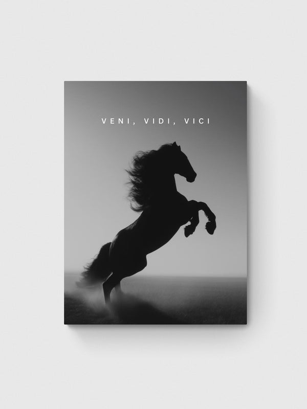 VENI VIDI VICI