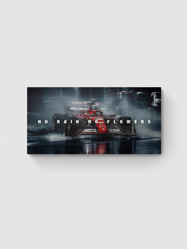 CHARLES LECLREC - NO RAIN NO FLOWERS