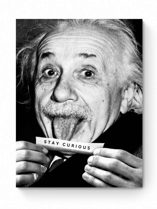 ALBERT EINSTEIN  - STAY CURIOUS
