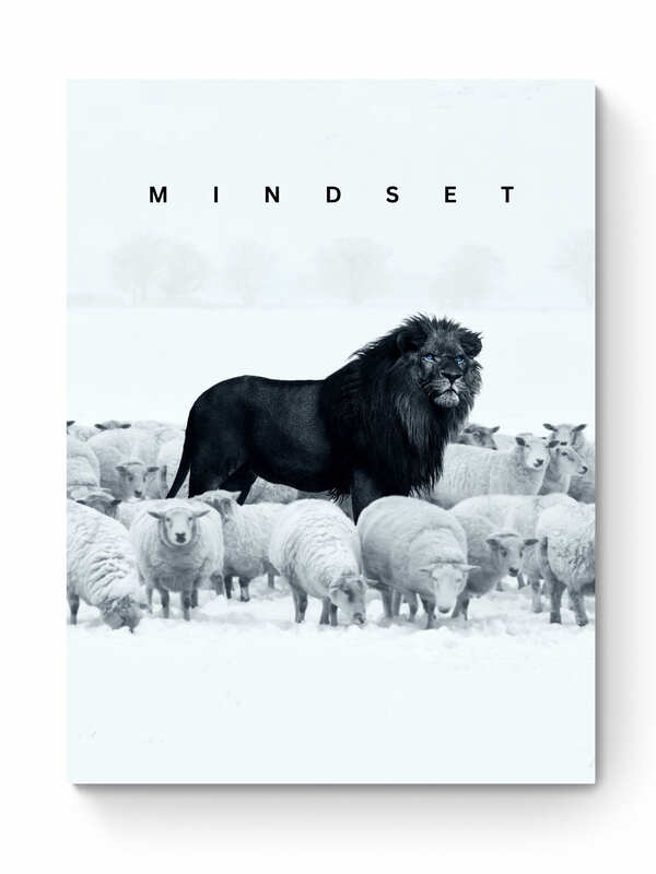 MINDSET II